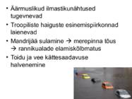 Globaalprobleemid #11