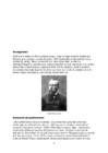 Roald Amundsen #3