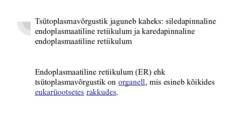 Kare endoplasmaatiline retiikulum #2