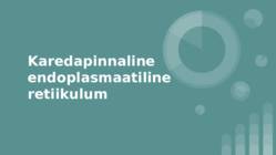 Kare endoplasmaatiline retiikulum