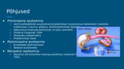Asoteemia #3