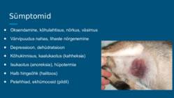 Asoteemia #8