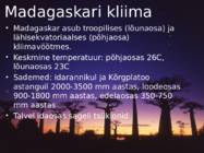 Madagaskar #4
