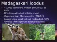 Madagaskar #5