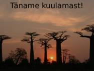 Madagaskar #8