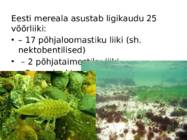 Võõrliigid Läänemeres #3