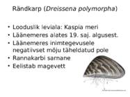 Võõrliigid Läänemeres #7