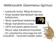Võõrliigid Läänemeres #8