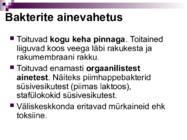 Bakterid ja bakterhaigused #16