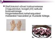 Bakterid ja bakterhaigused #19