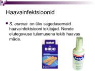 Bakterid ja bakterhaigused #22