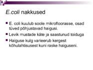 Bakterid ja bakterhaigused #29