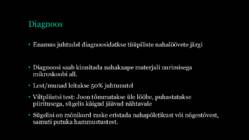 Sügelised #7