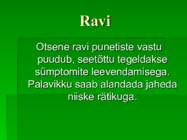 PUNETISED #11