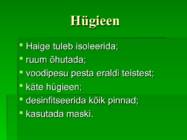 PUNETISED #13
