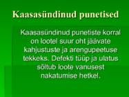 PUNETISED #16