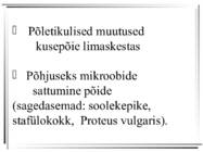 Tsüstiit ehk kusepõiepõletik #2