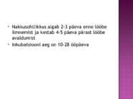 TUULERÕUGED #6