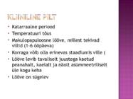 TUULERÕUGED #7
