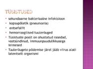 TUULERÕUGED #10