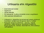 URTIKAARIA #3