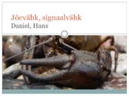 Jõevähk-signaalvähk