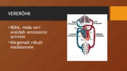 VERESOONED JA VERERINGE #10