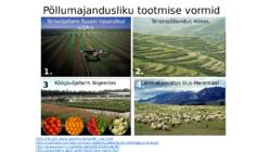 PÕLLUMAJANDUSEST JA TOIDUTOOTMISEST SÜSTEEMSELT #9