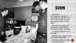 Hitler #7