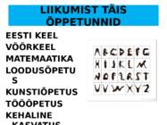 VUNKi kogemusseminar-Liikumist täis koolipäev #3
