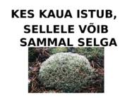 VUNKi kogemusseminar-Liikumist täis koolipäev #29