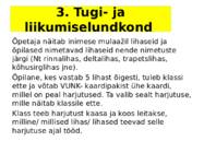 VUNKi kogemusseminar-Liikumist täis koolipäev #9
