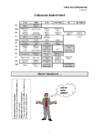 Microsoft Word 2016 põhioskused #2