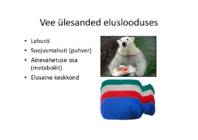 Di-vesinikodsiid #8