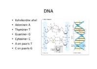 Valgud ja geenid #21