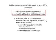 Raku energeetika #37