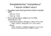 Raku energeetika #41