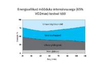 Raku energeetika #43