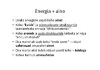 Raku energeetika #8