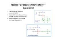 Lipiidid #6