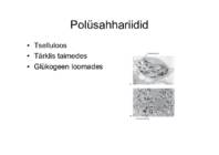 Süsivesikud #8