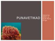 Punavetikad