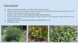 ISLAND-PÕHJALIK GEOGRAAFILINE ESITLUS #24