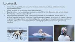 ISLAND-PÕHJALIK GEOGRAAFILINE ESITLUS #25