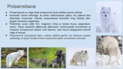 ISLAND-PÕHJALIK GEOGRAAFILINE ESITLUS #26