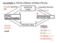 MAJANDUSE PÕHIPROBLEEMID-TURUMEHHANISM #43