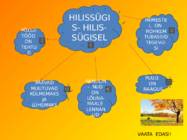 HILISSÜGIS #2