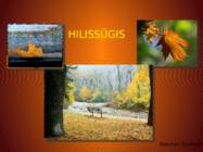 HILISSÜGIS