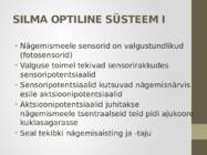 Nägemismeel #11