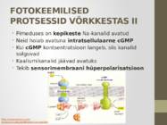 Nägemismeel #17